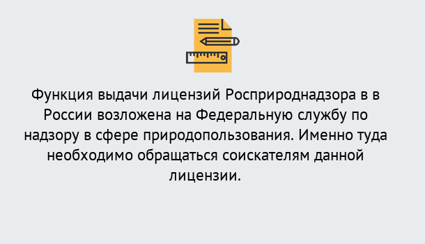 Почему нужно обратиться к нам? Новокузнецк Лицензия Росприроднадзора. Под ключ! в Новокузнецк