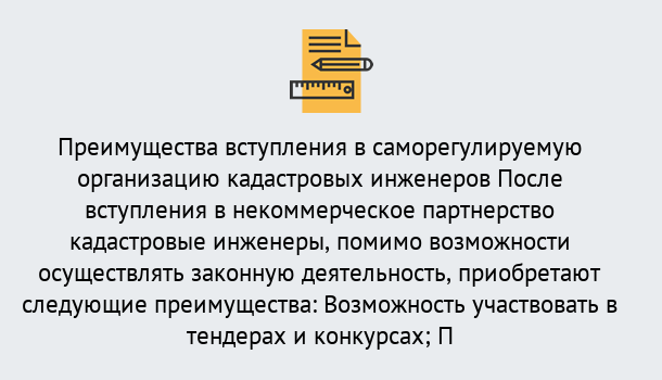 Почему нужно обратиться к нам? Новокузнецк Что дает допуск СРО кадастровых инженеров?