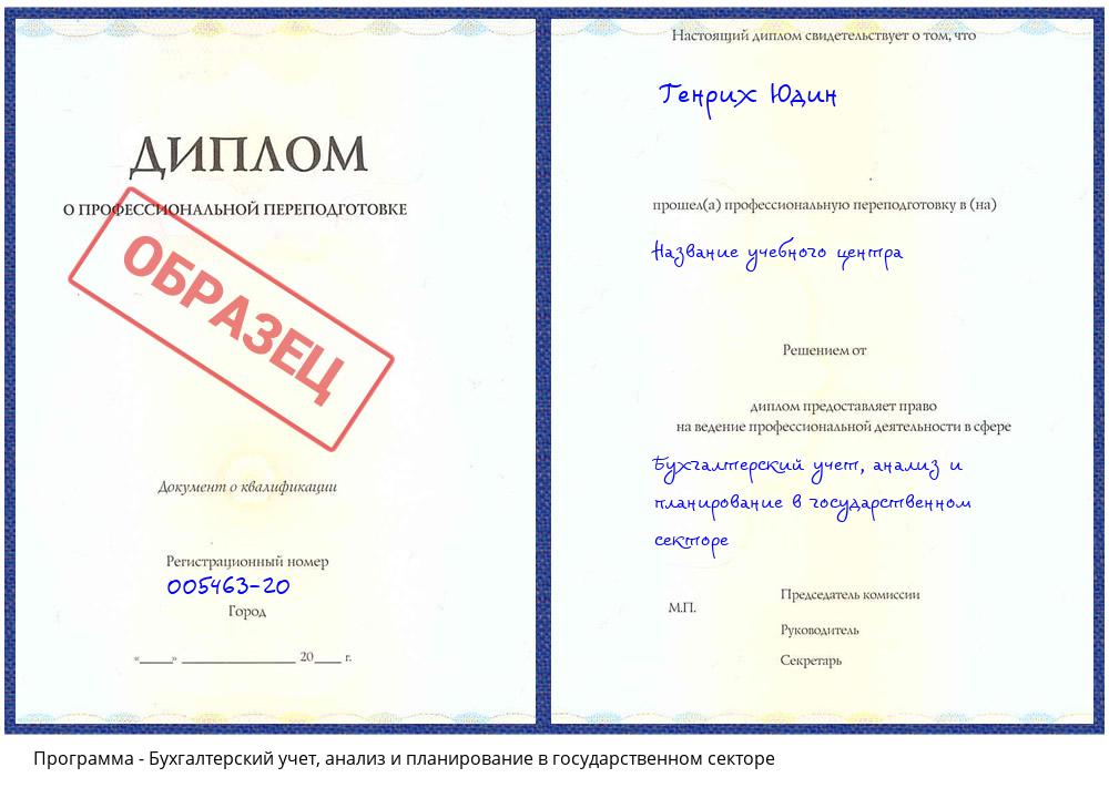Бухгалтерский учет, анализ и планирование в государственном секторе Новокузнецк