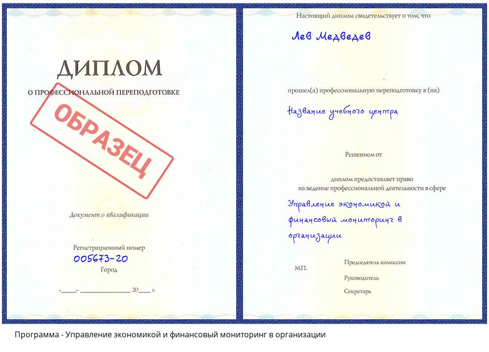 Управление экономикой и финансовый мониторинг в организации Новокузнецк