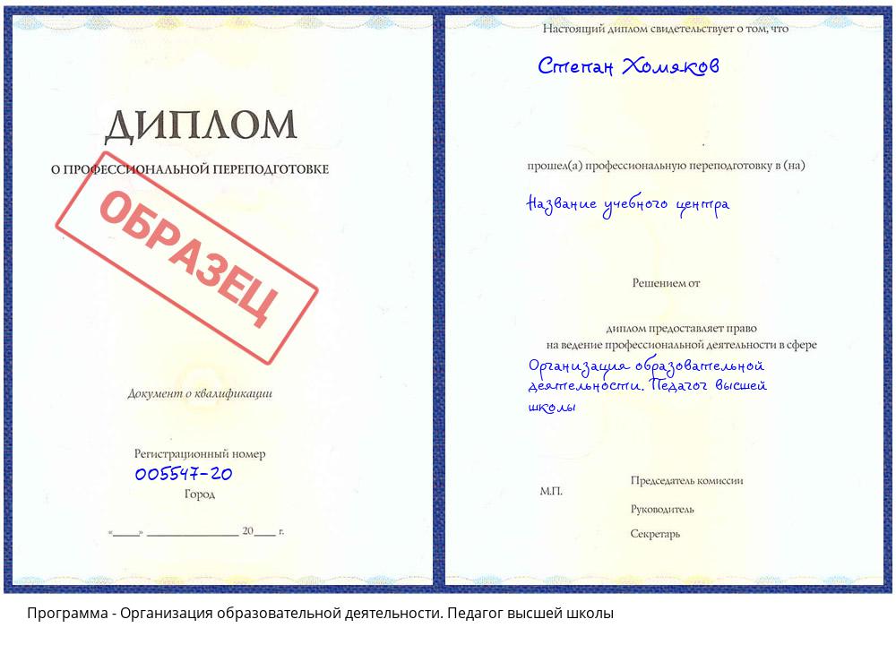 Организация образовательной деятельности. Педагог высшей школы Новокузнецк